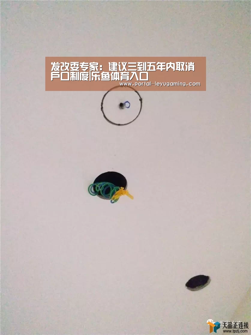 乐鱼体育APP