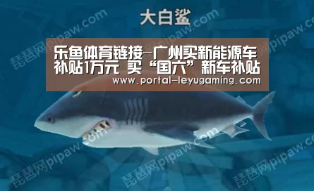 乐鱼体育平台