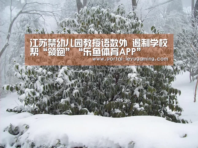 江苏禁幼儿园教授语数外 遏制学校帮“领跑”“乐鱼体育APP”(图2) 乐鱼体育APP