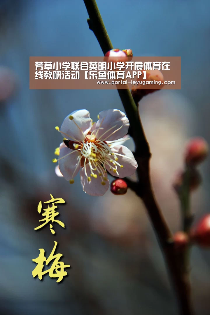 芳草小学联合英明小学开展体育在线教研活动【乐鱼体育APP】(图4) 乐鱼体育APP