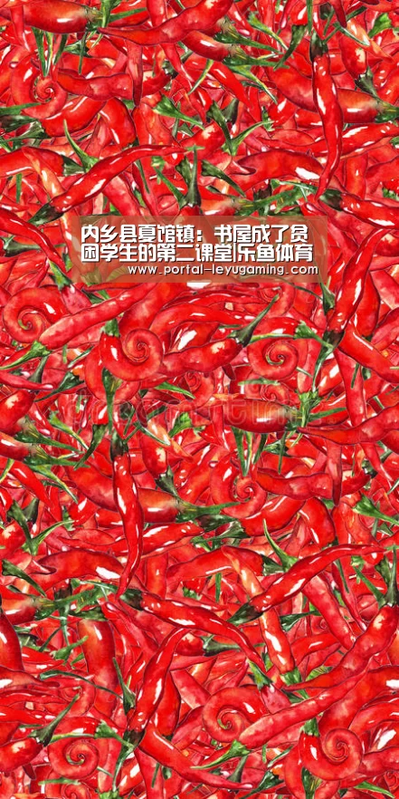 内乡县夏馆镇:书屋成了贫困学生的第二课堂|乐鱼体育入口(图3) 乐鱼体育平台