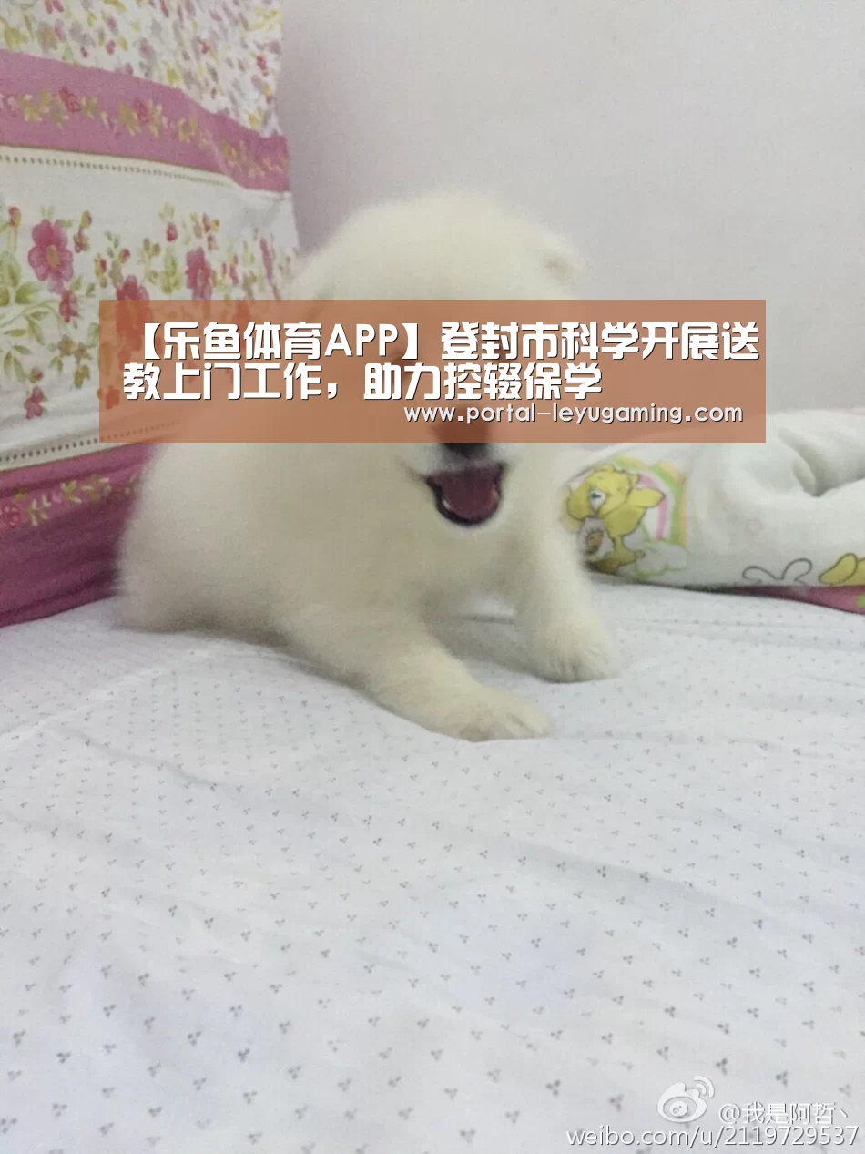 【乐鱼体育APP】登封市科学开展送教上门工作,助力控辍保学(图4) 乐鱼体育平台